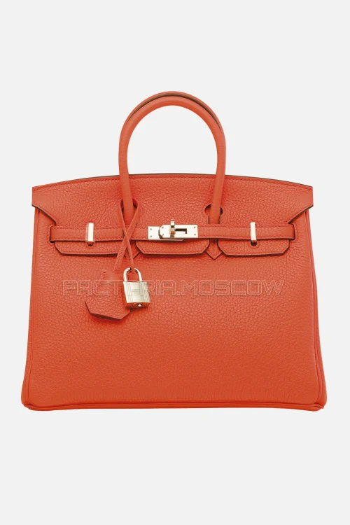 Hermes Birkin 25 Clemence Orange Poppy PHW