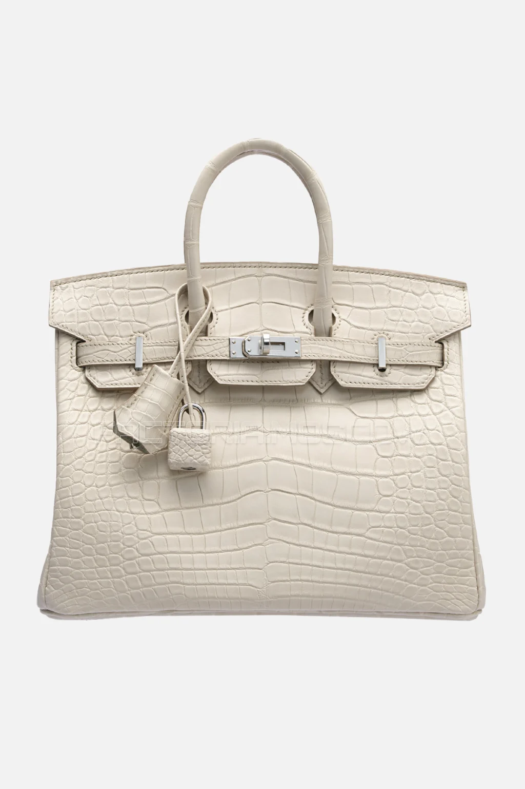 Hermes Birkin 25 Alligator Matte Beton PHW