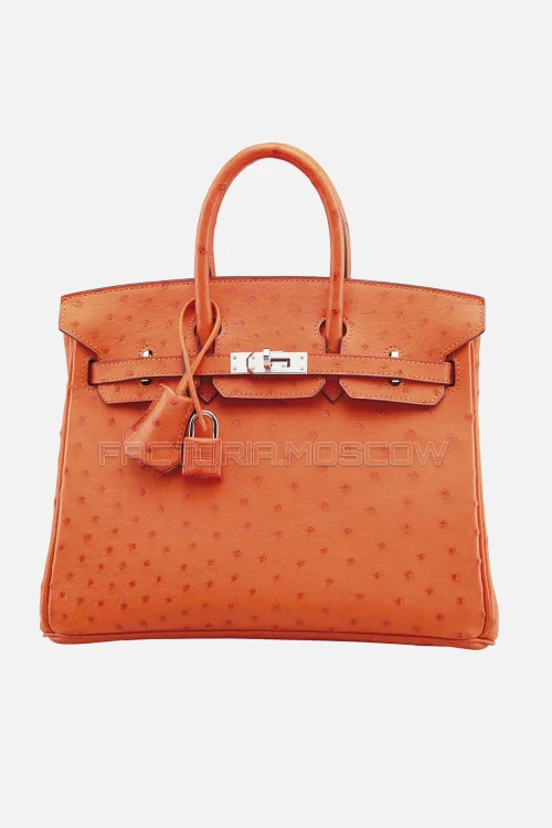 Hermes Birkin 25 Ostrich Orange H PHW