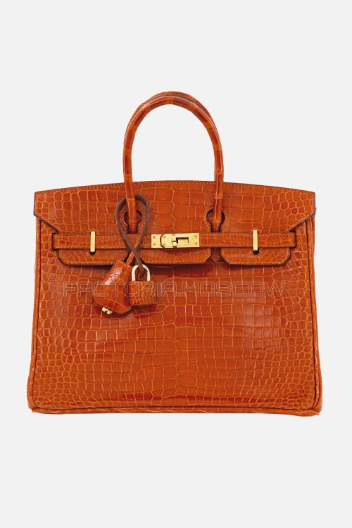 Hermes Birkin 25 Shiny Pain D'Epice Porosus Crocodile GHW