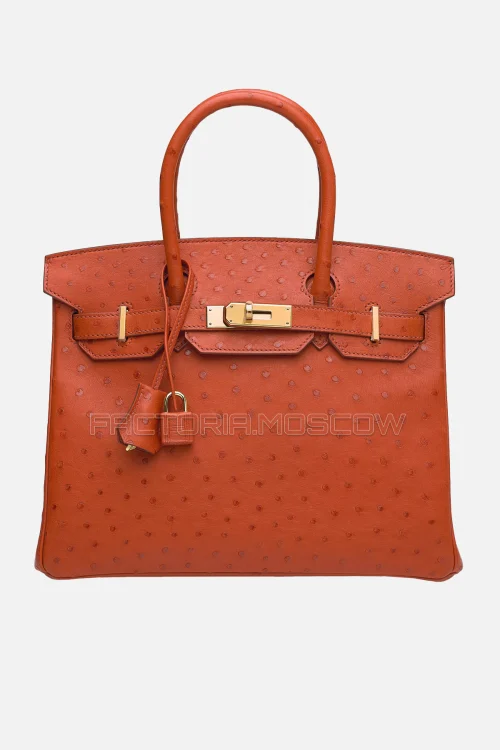 Hermes Birkin 30 Brique Ostrich GHW