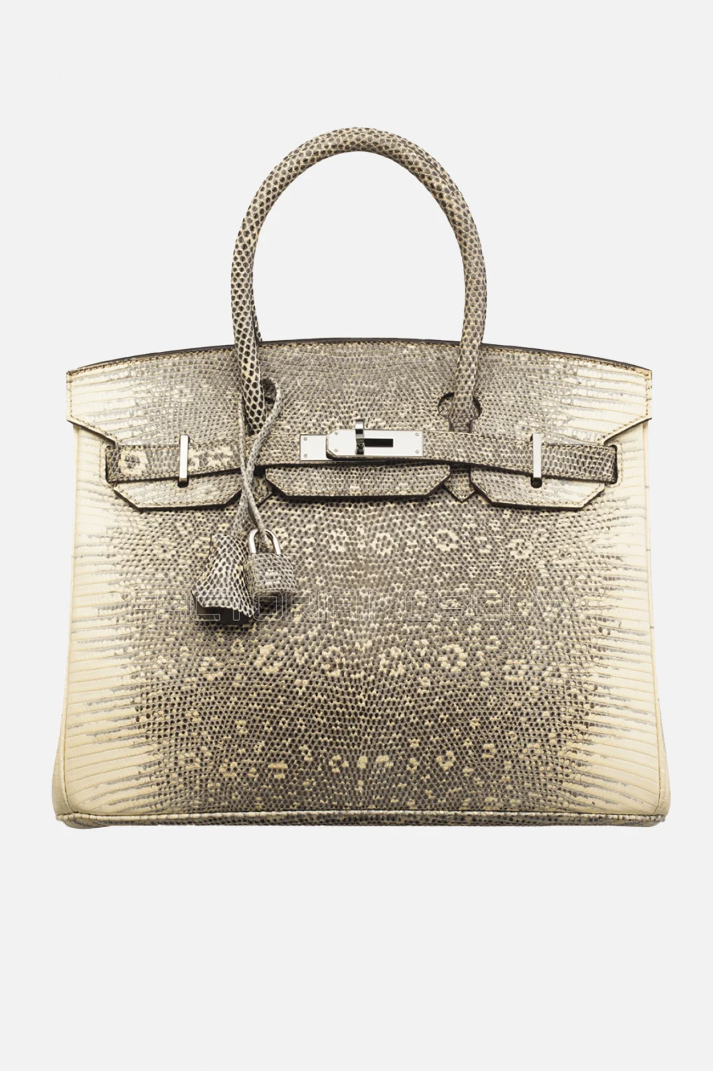 Hermes Birkin 30 Shiny Ombre Salvator Lizard PHW