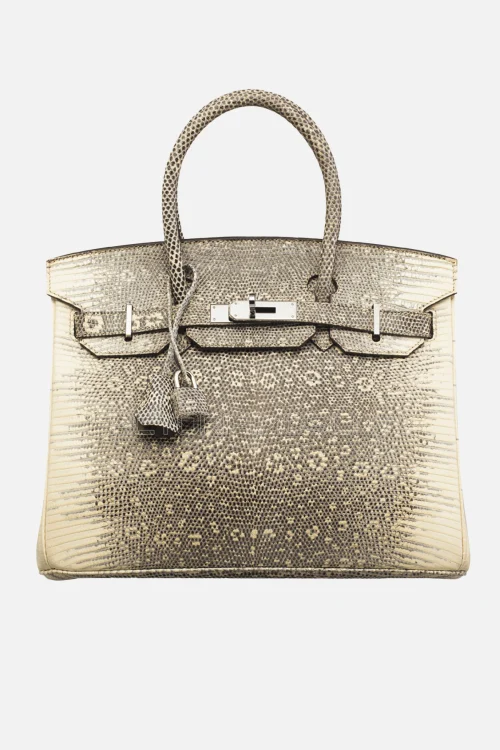 Hermes Birkin 30 Shiny Ombre Salvator Lizard PHW