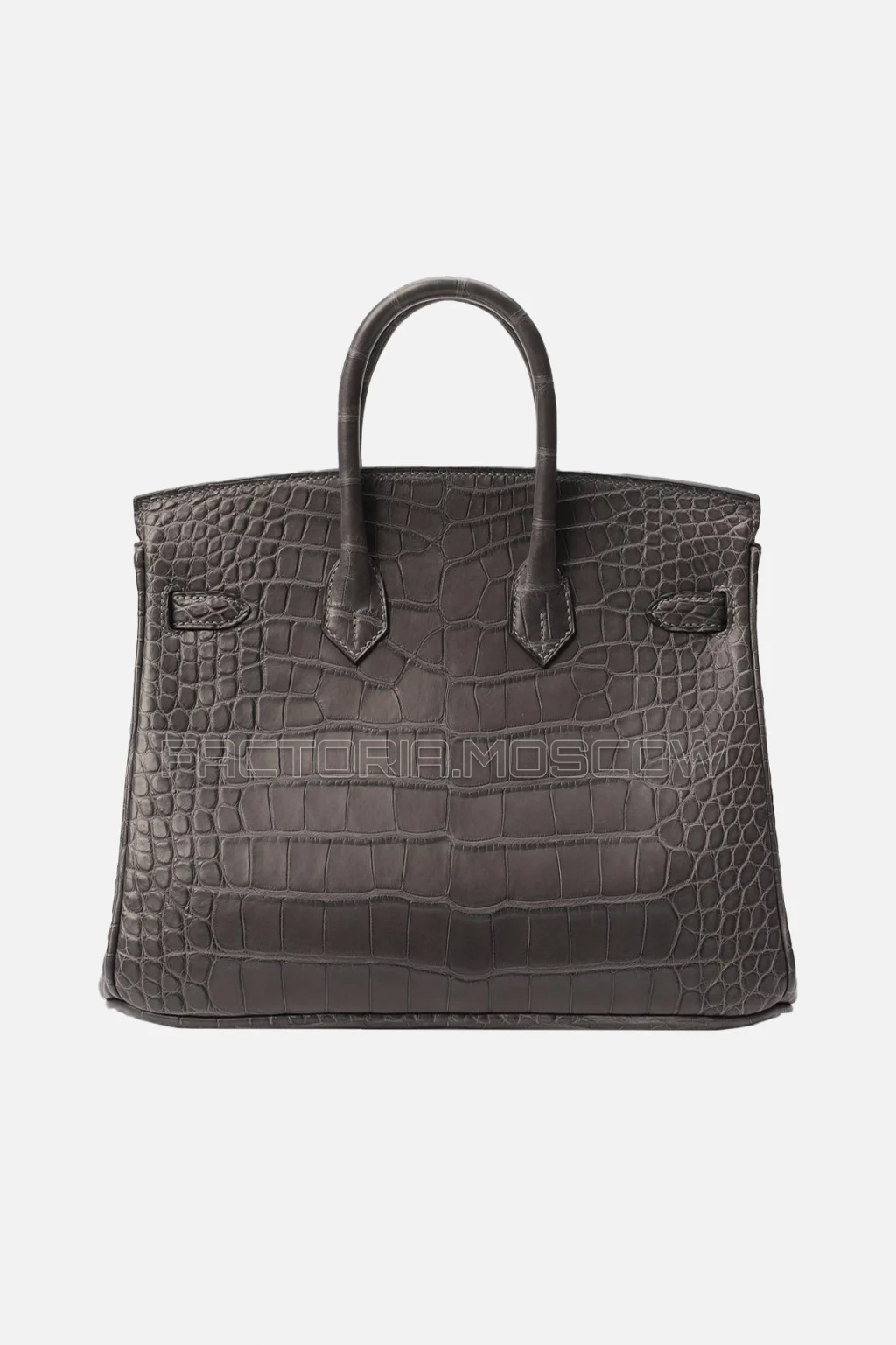 Hermes Birkin 25 Alligator Matte Graphite GHW