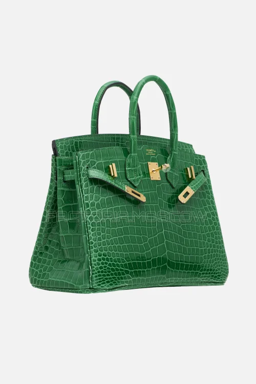 Hermes Birkin 25 Shiny Cactus Porosus Crocodile GHW