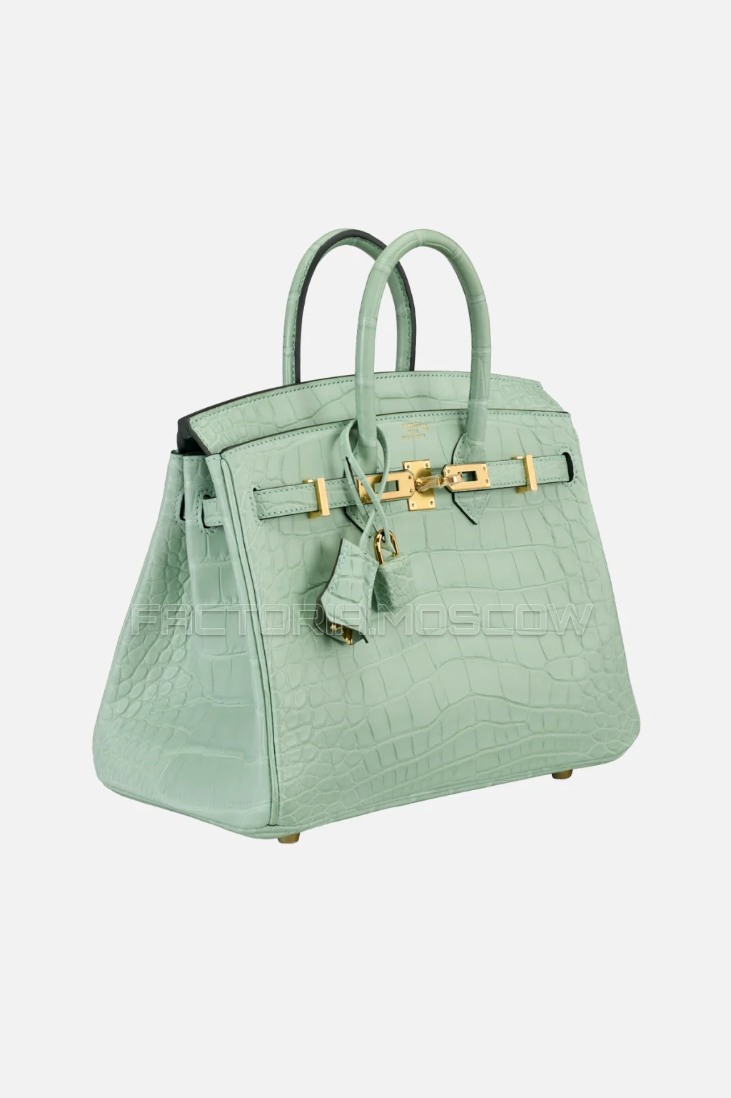 Hermes Birkin 25 Alligator Matte Vert Déau GHW