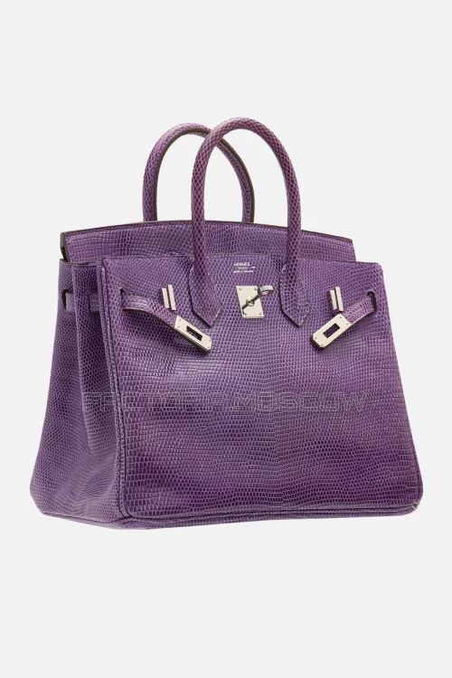 Hermes Birkin 25 Shiny Violet Niloticus Lizard PHW