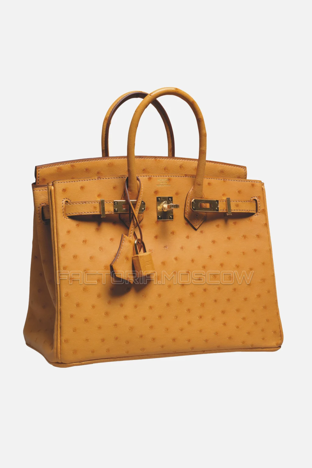 Hermes Birkin 25 Saffron Ostrich GHW