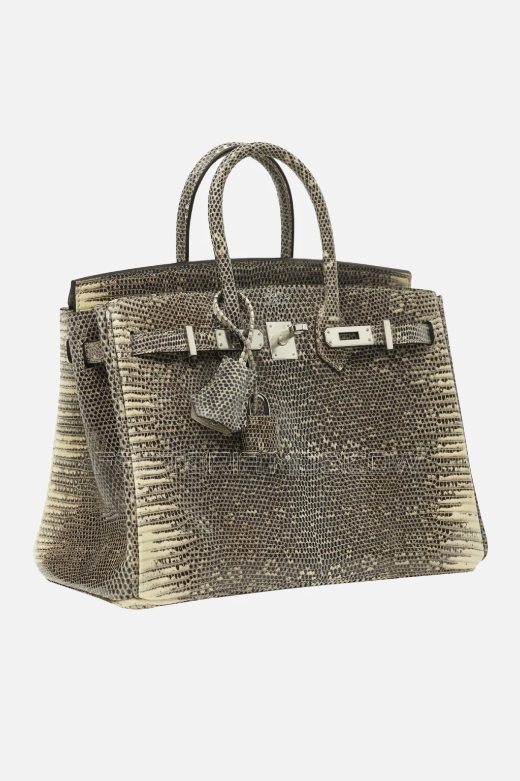 Hermes Birkin 25 Shiny Salvator Lizard Ombre PHW