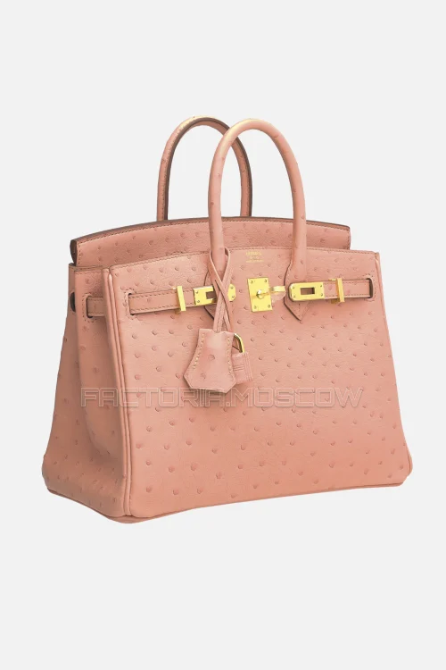 Hermes Birkin 25 Terre Cuite Ostrich GHW