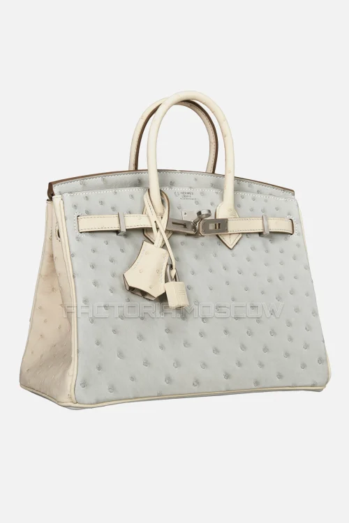 Hermes Birkin 25 Gris Perle/Beton Ostrich PHW