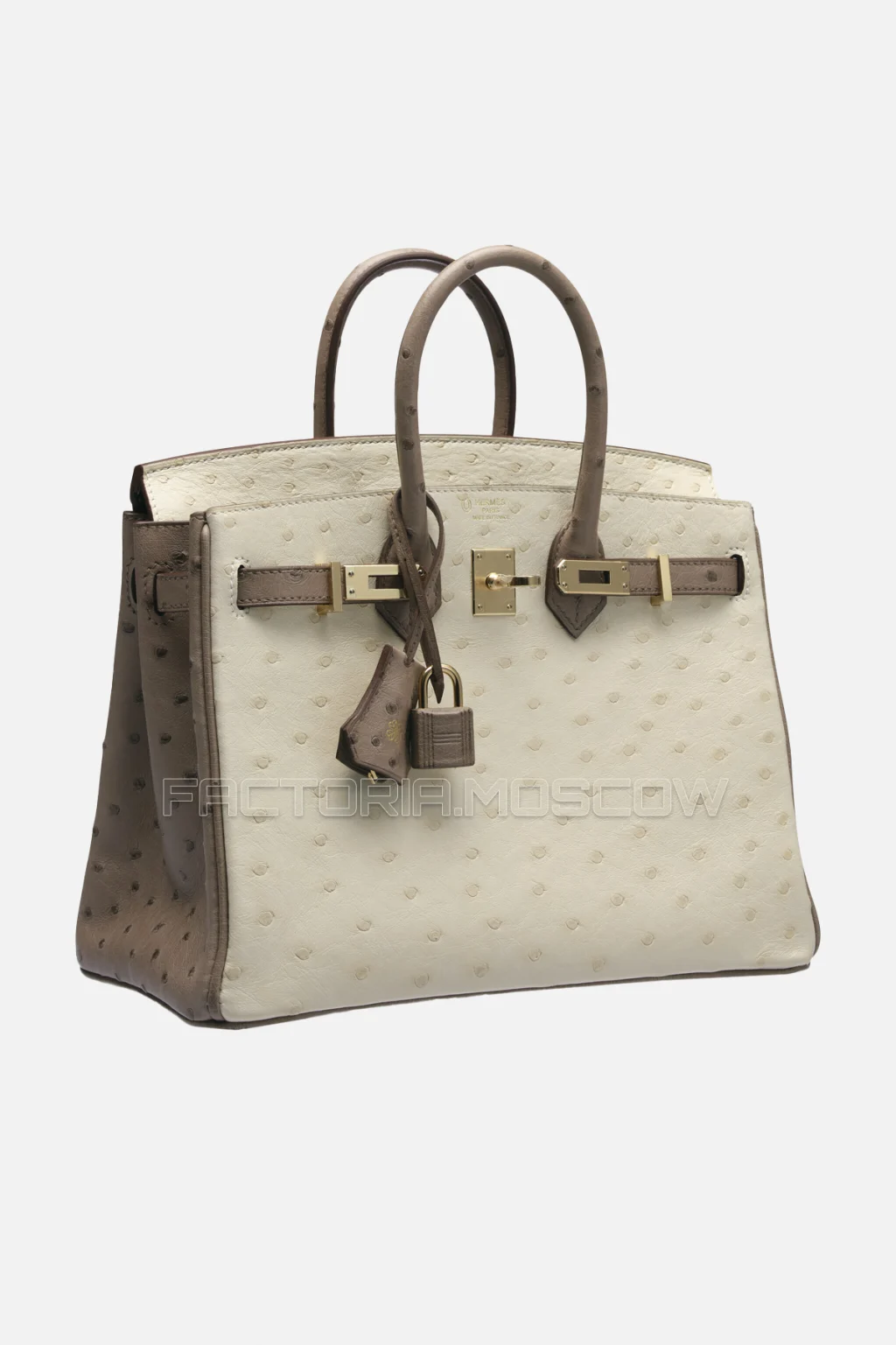 Hermes Birkin 25 Beton/Gris Asphalte Ostrich GHW