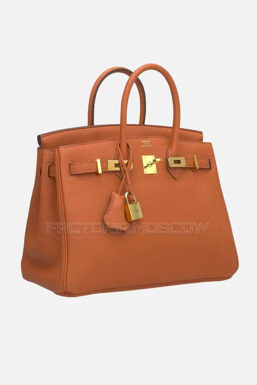 Hermes Birkin 25 Terre Battue Togo GHW