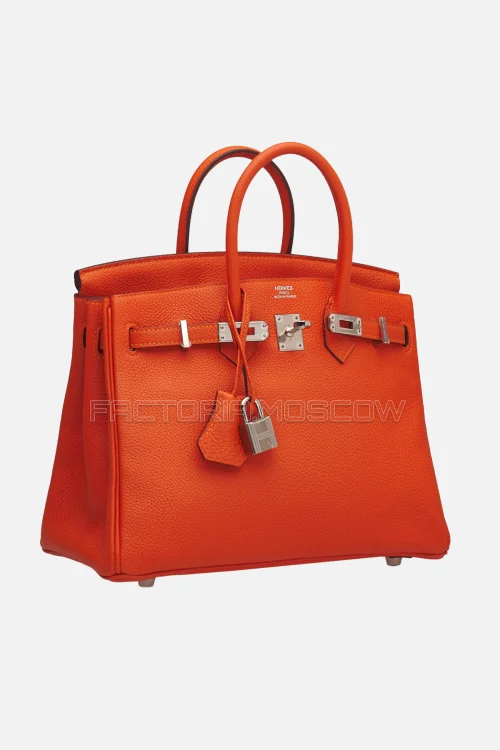 Hermes Birkin 25 Togo Feu PHW