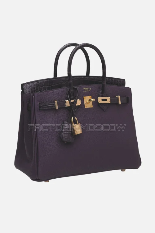 Hermes Birkin Touch 25 Matte Prunoir Alligator/Raisin Togo RGHW