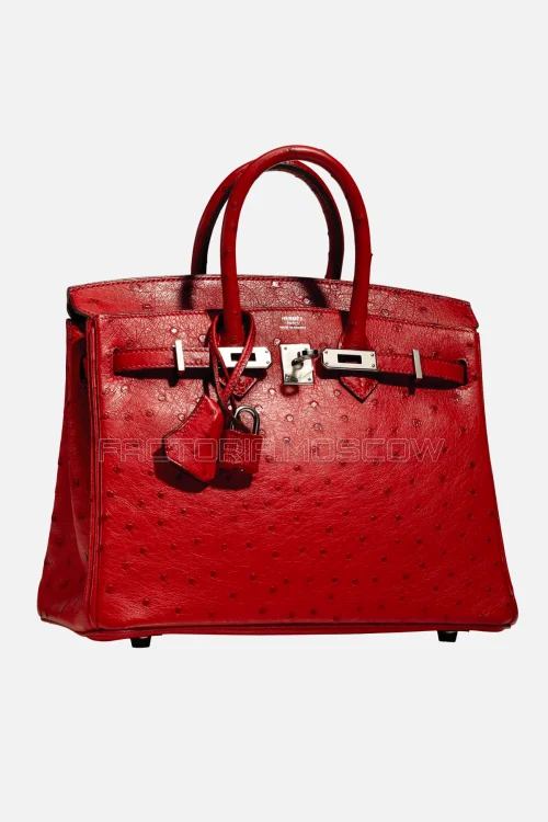 Hermes Birkin 25 Ostrich Rouge Vif PHW