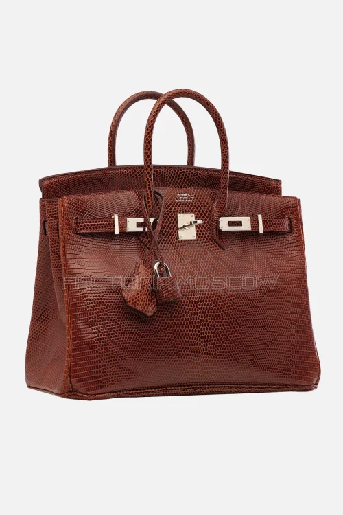 Hermes Birkin 25 Shiny Etrusque Lizard PHW