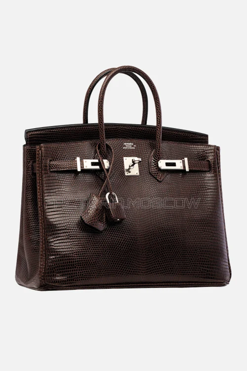 Hermes Birkin 25 Shiny Havane Niloticus Lizard PHW