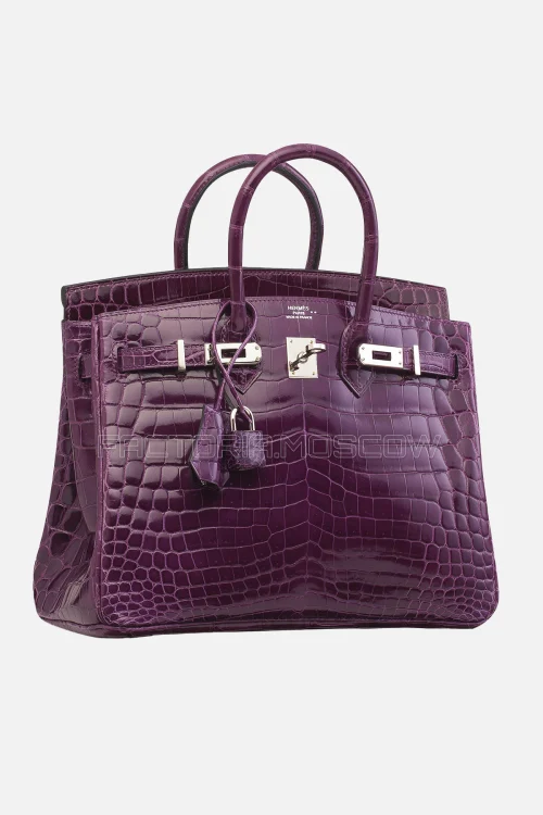 Hermes Birkin 25 Shiny Amethyste Niloticus Crocodile PHW