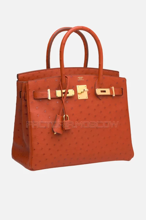 Hermes Birkin 30 Brique Ostrich GHW