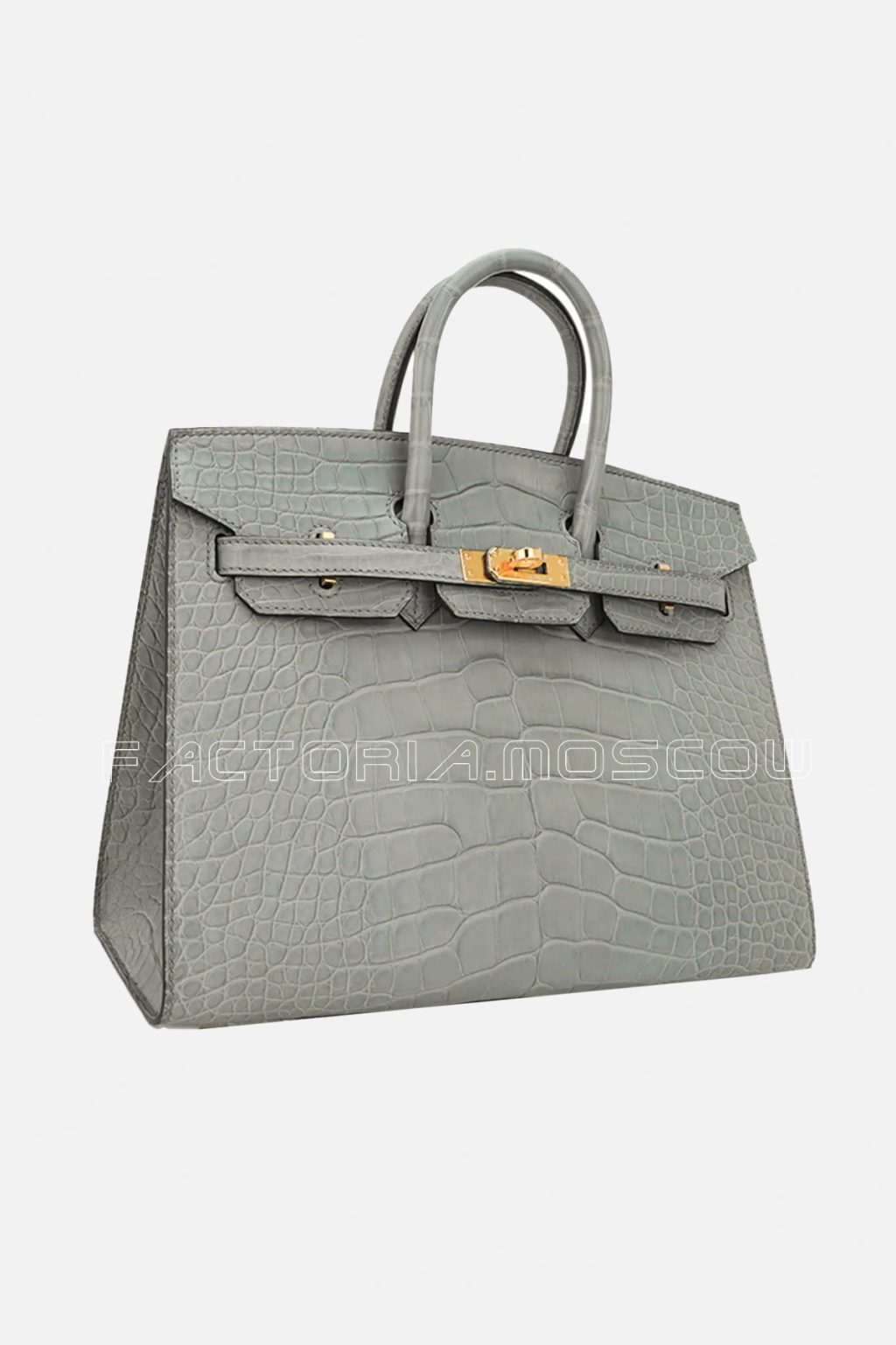 Hermes Birkin Sellier 25 Alligator Matte Gris Ciment GHW