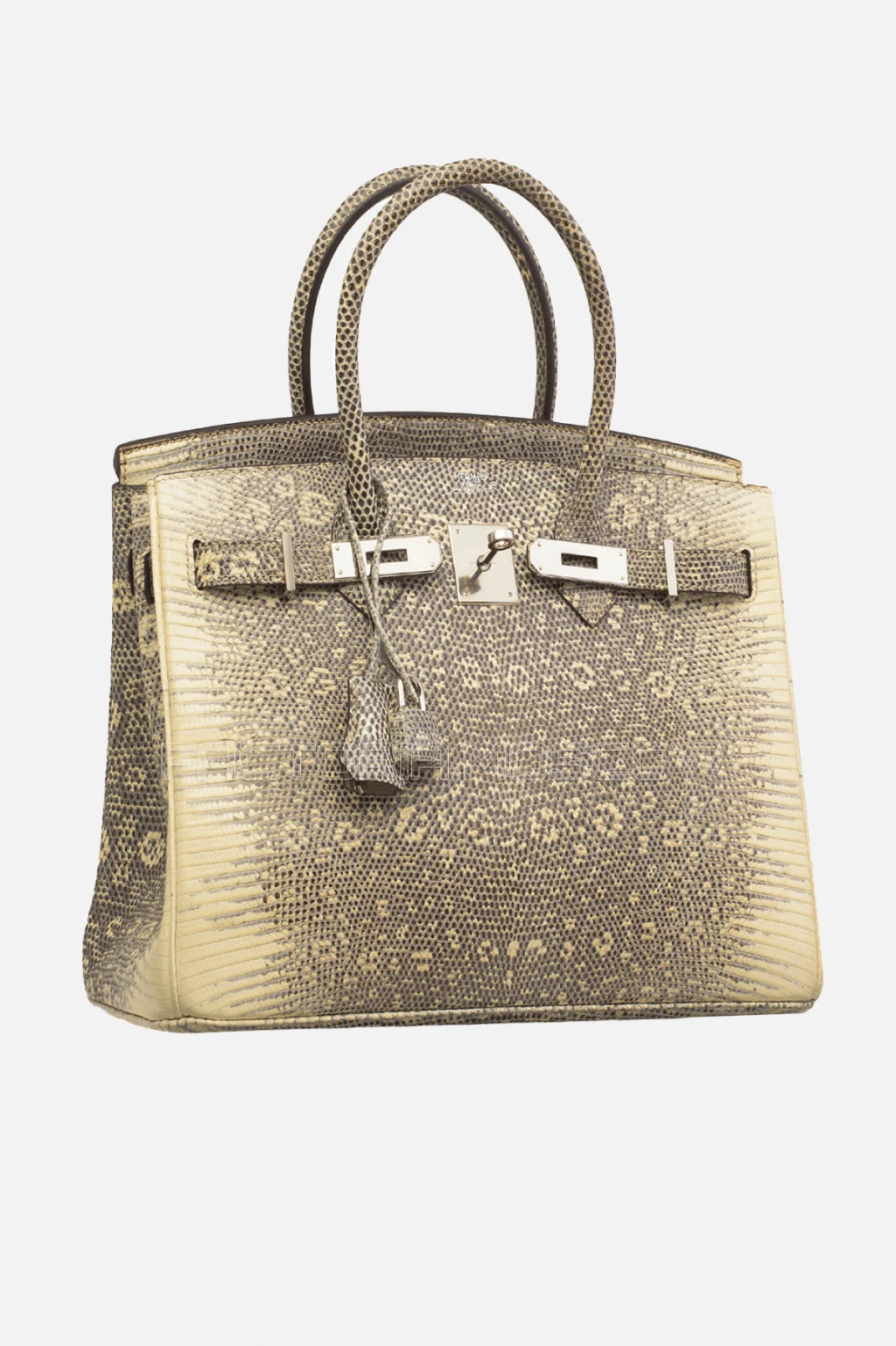 Hermes Birkin 30 Shiny Ombre Salvator Lizard PHW