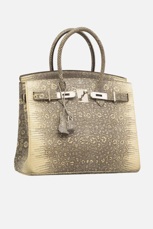 Hermes Birkin 30 Shiny Ombre Salvator Lizard PHW