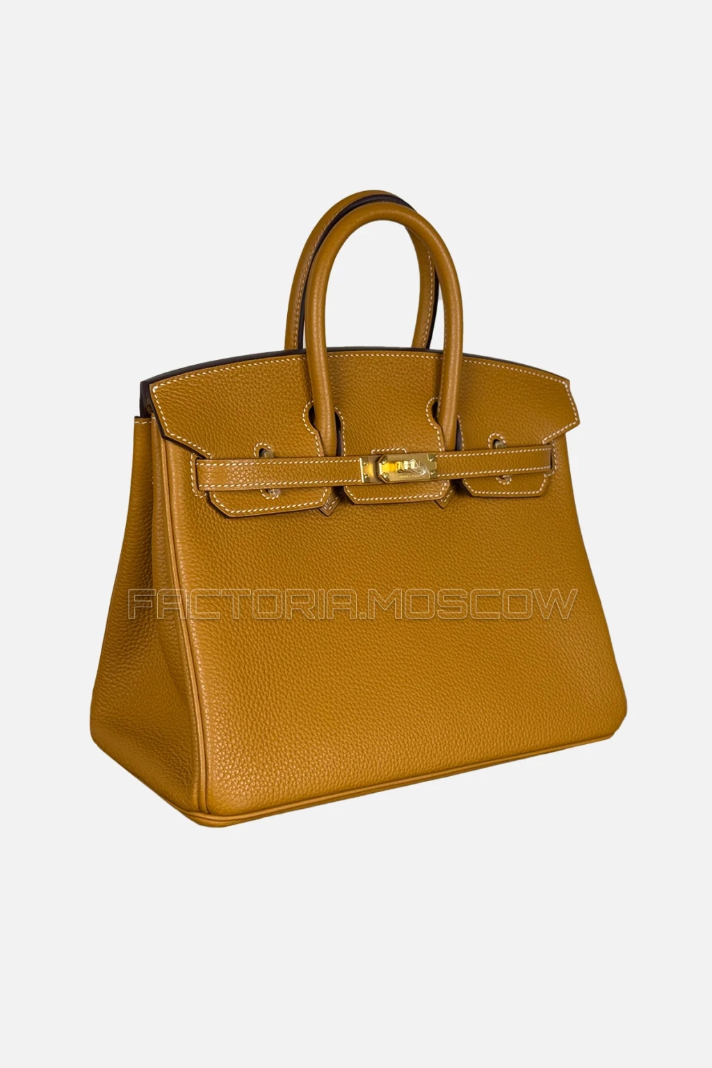 Hermes Birkin 25 Togo Colour Naturel Sable GHW