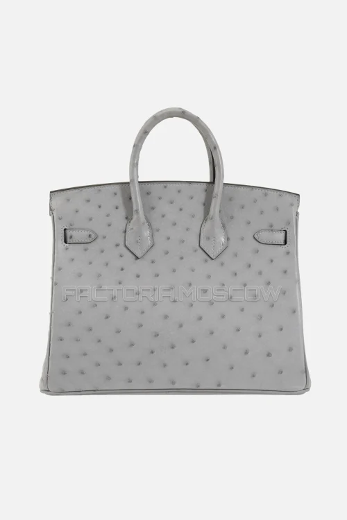Hermès Birkin 25 Ostrich Bleu Glacier PHW