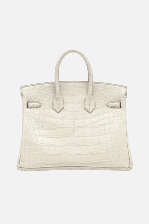 Hermes Birkin 25 Matte Beton Alligator PHW