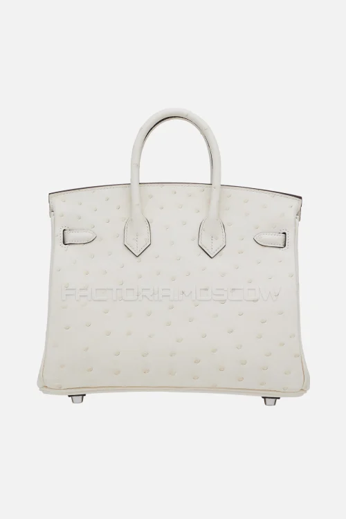 Hermes Birkin 25 Nata Ostrich PHW