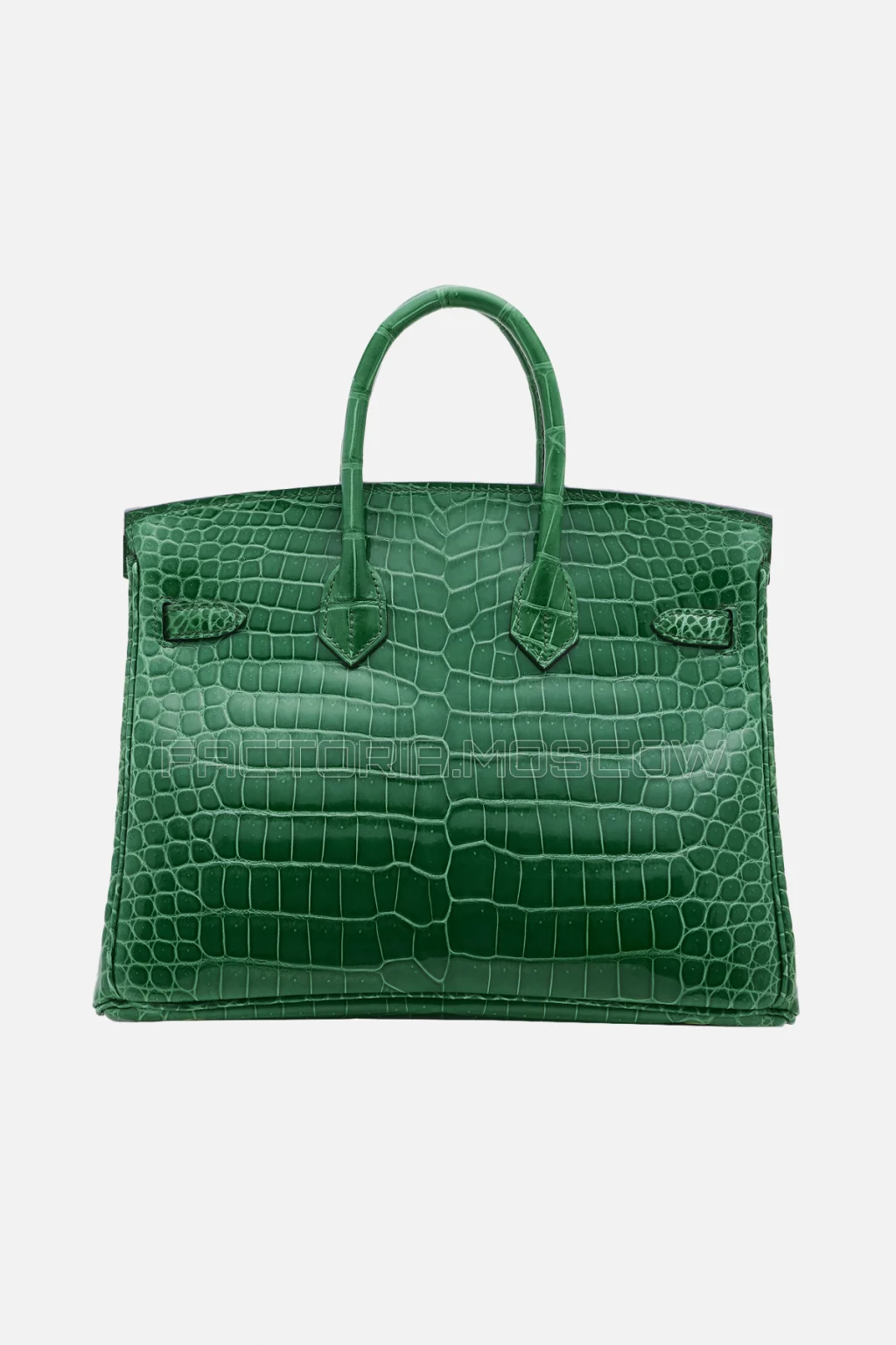 Hermes Birkin 25 Shiny Cactus Porosus Crocodile GHW