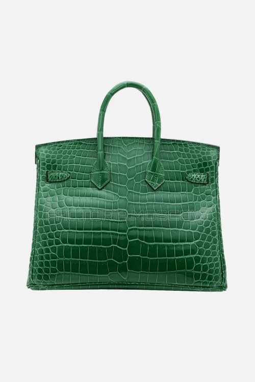 Hermes Birkin 25 Shiny Cactus Porosus Crocodile GHW