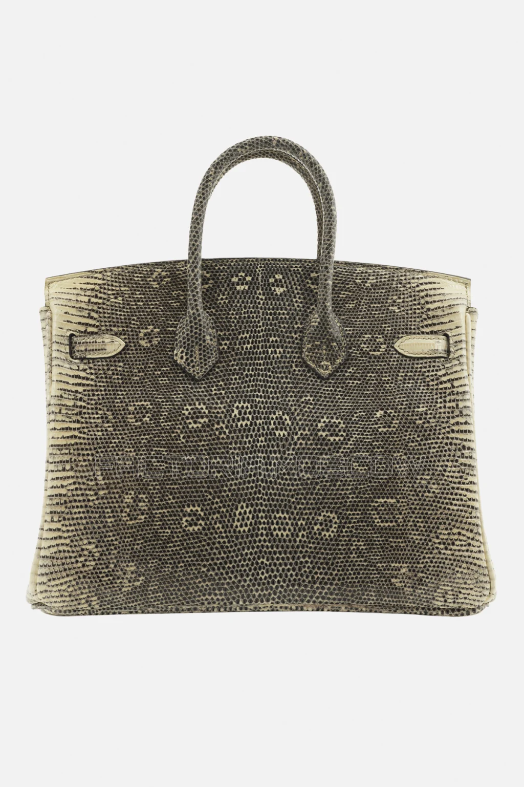 Hermes Birkin 25 Shiny Salvator Lizard Ombre PHW