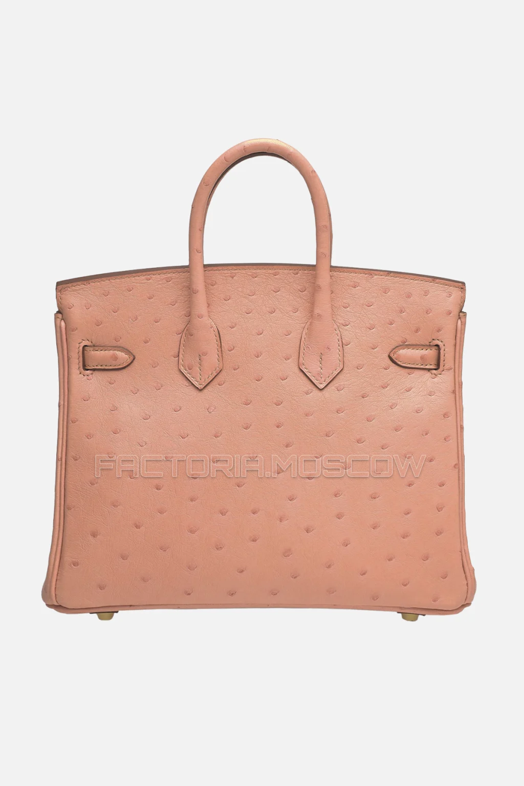 Hermes Birkin 25 Terre Cuite Ostrich GHW