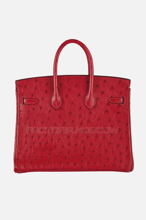 Hermes Birkin 25 Rouge Vif Ostrich PHW