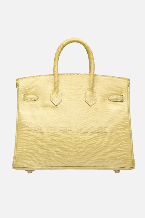 Hermes Birkin 25 Shiny Parchemin Niloticus Lizard PHW