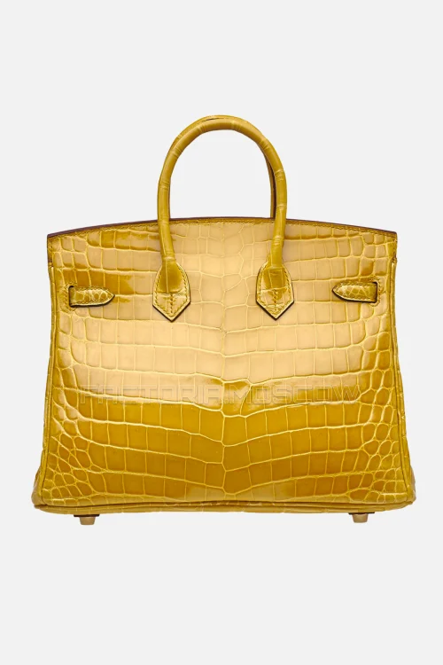 Hermes Birkin 25 Shiny Ambre Niloticus Crocodile GHW