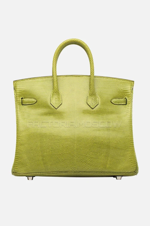 Hermes Birkin 25 Shiny Vert Anis Niloticus Lizard PHW