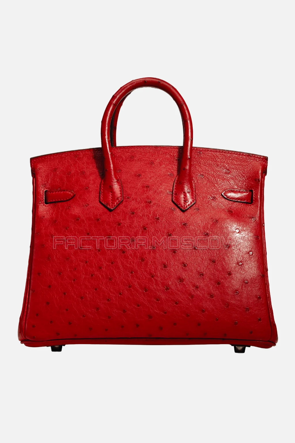 Hermes Birkin 25 Ostrich Rouge Vif PHW
