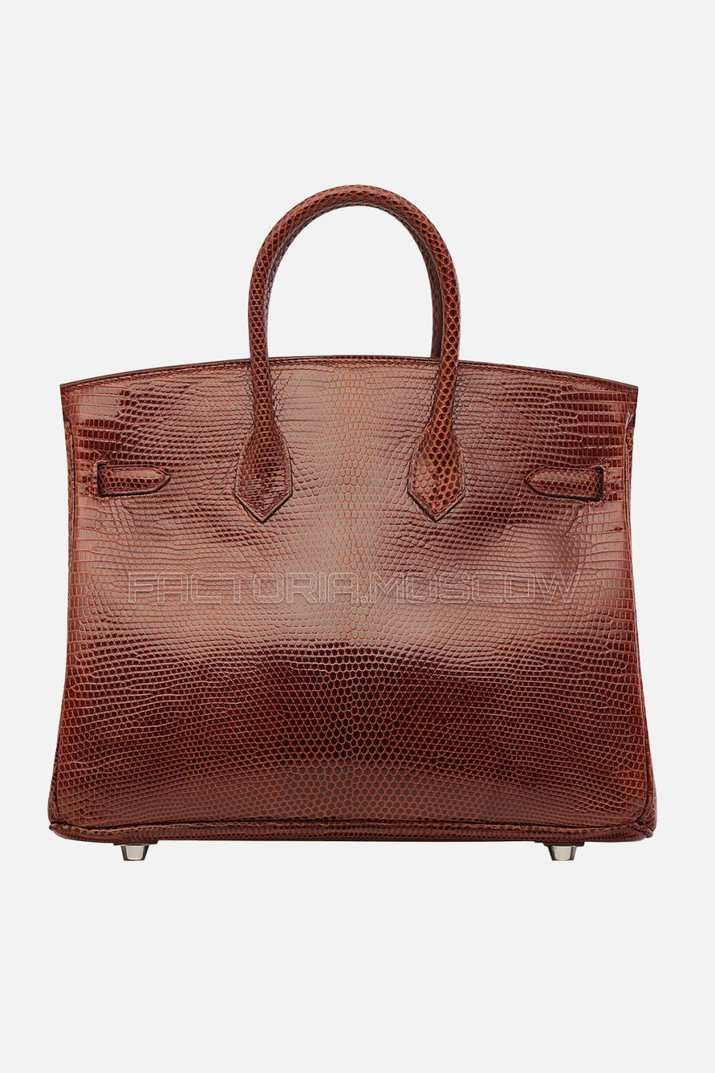 Hermes Birkin 25 Shiny Etrusque Lizard PHW