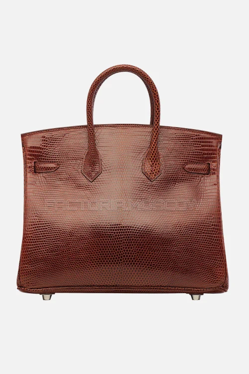 Hermes Birkin 25 Shiny Etrusque Lizard PHW