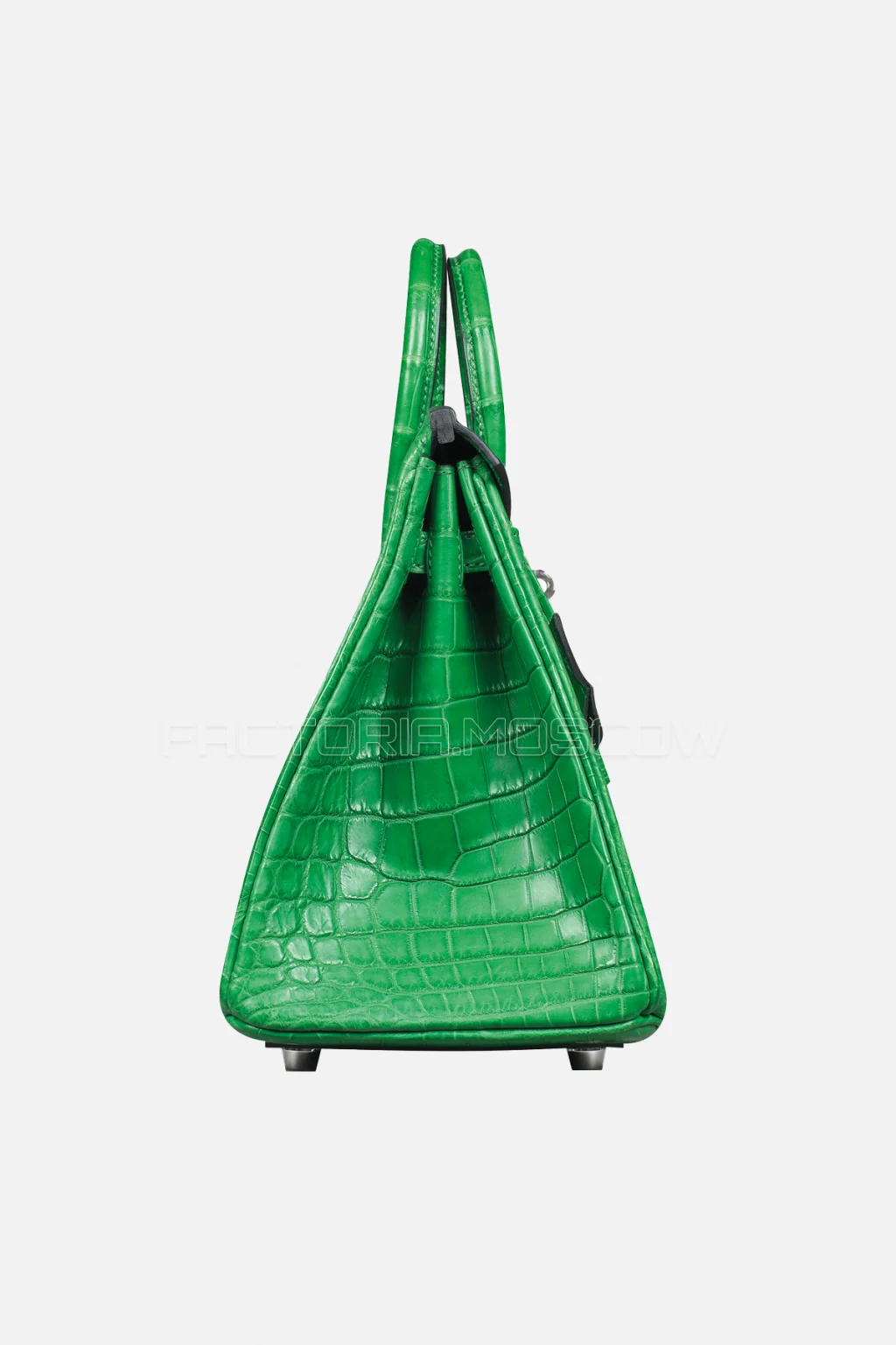 Hermes Birkin 25 Matte Cactus Niloticus Crocodile PHW