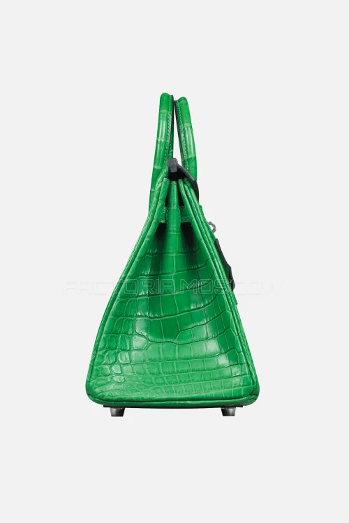 Hermes Birkin 25 Matte Cactus Niloticus Crocodile PHW