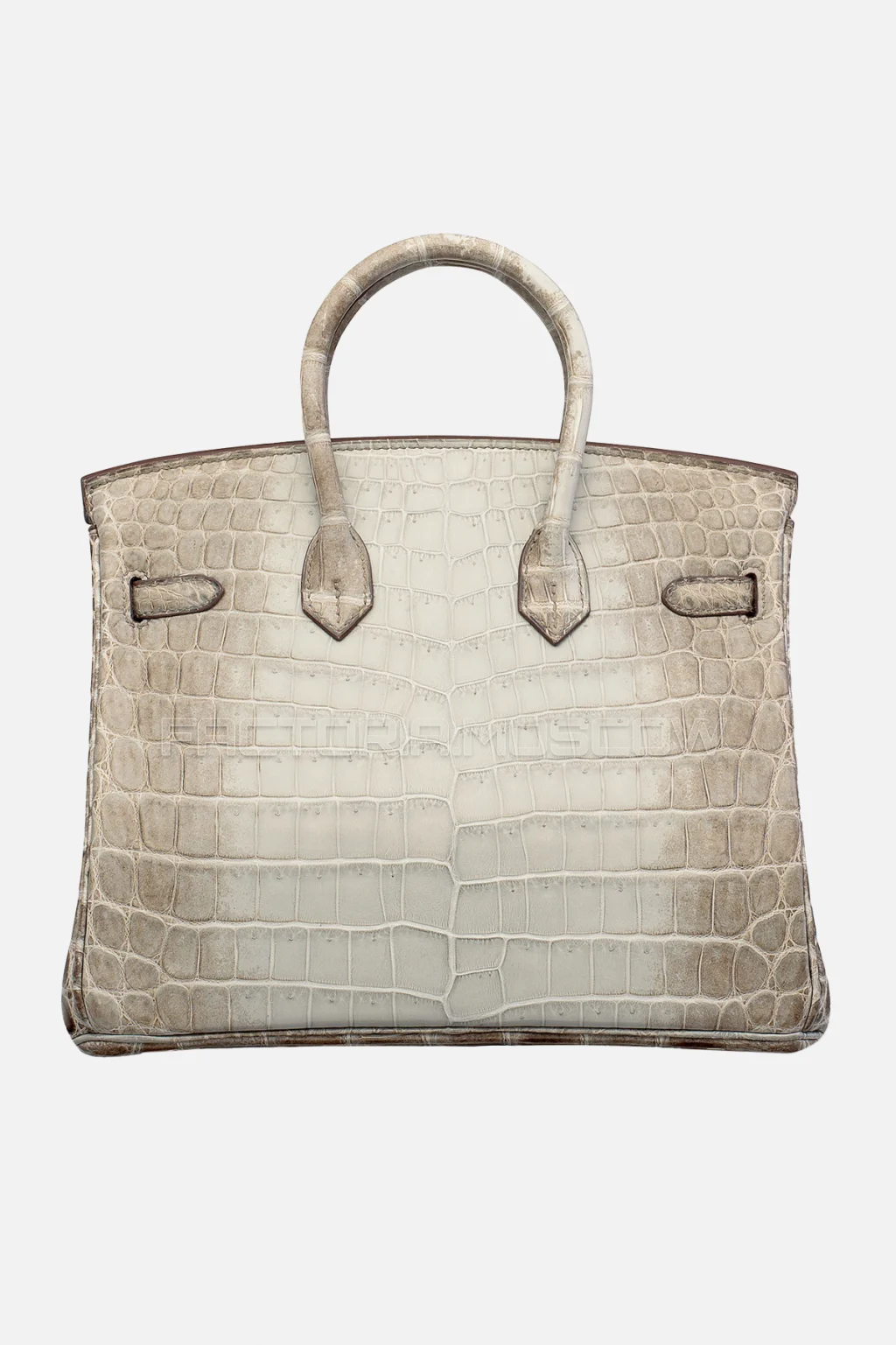 Hermes Birkin 25 Matte Gris Cendre Himalaya Niloticus Crocodile PHW