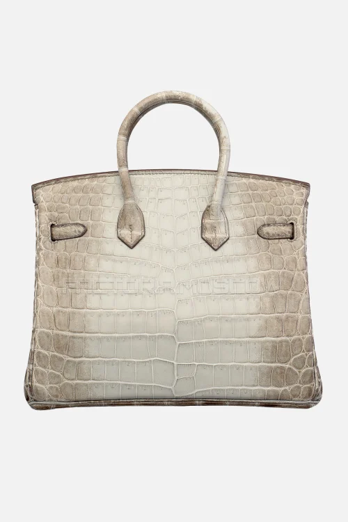 Hermes Birkin 25 Matte Gris Cendre Himalaya Niloticus Crocodile PHW