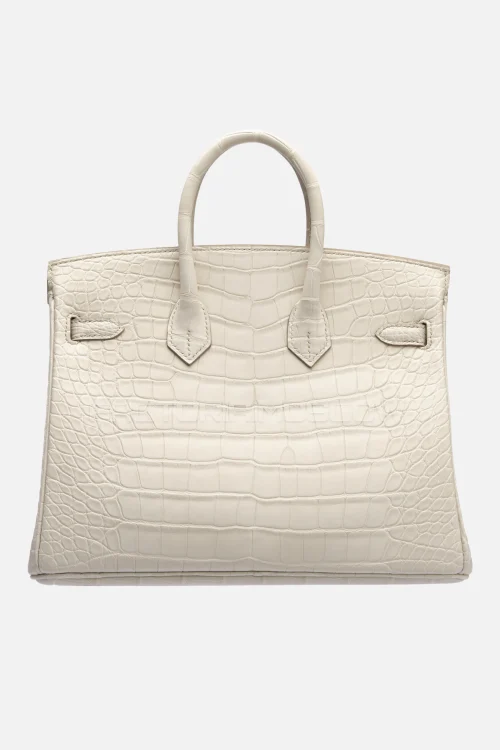 Hermes Birkin 25 Alligator Matte Beton PHW