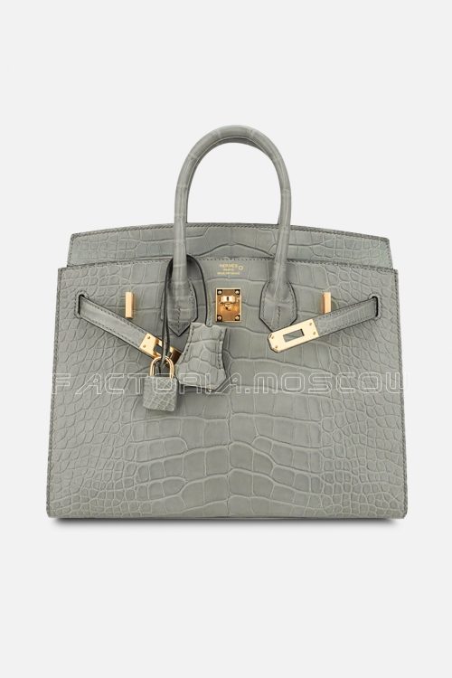 Hermes Birkin Sellier 25 Alligator Matte Gris Ciment GHW