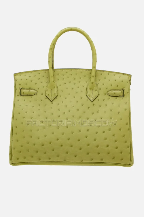 Hermes Birkin 30 Vert Anis Ostrich GHW