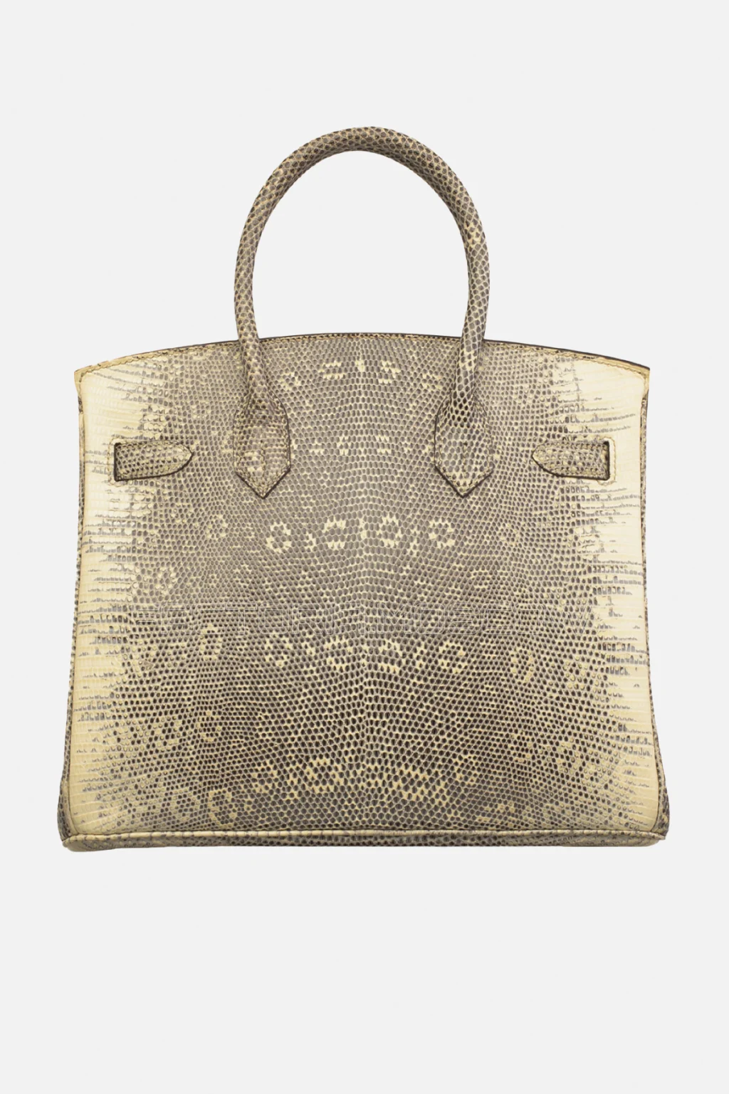 Hermes Birkin 30 Shiny Ombre Salvator Lizard PHW